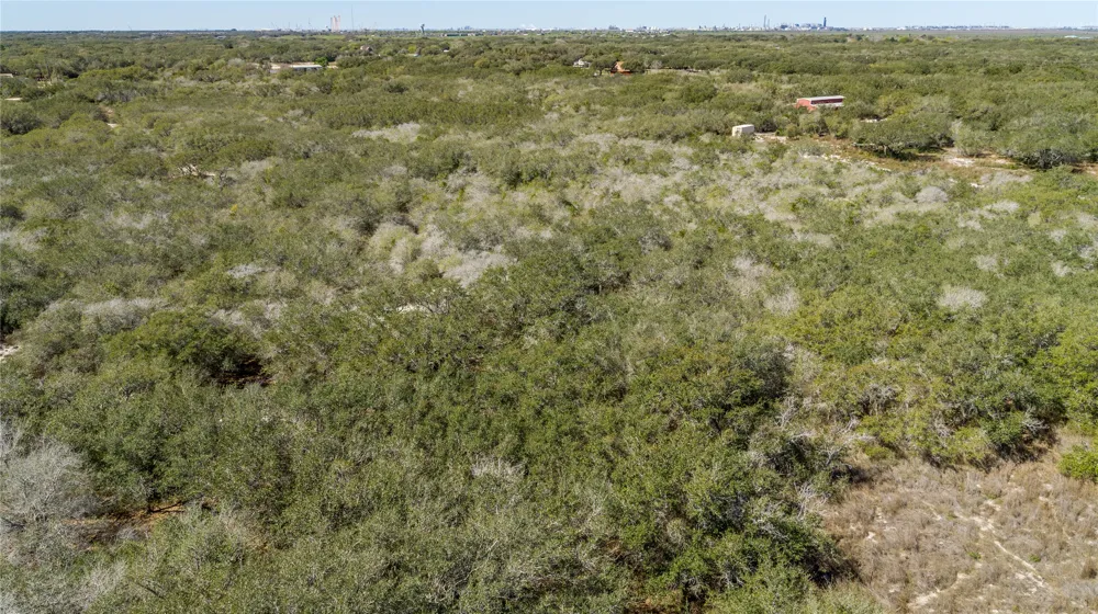 13 Rhodes Avenue Aransas Pass, TX 78368