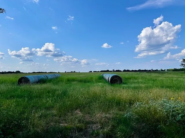 CR 4805 Bailey, TX 75413