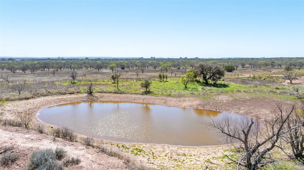 CR 614 Ovalo, TX 79541