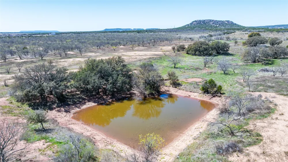 CR 614 Ovalo, TX 79541
