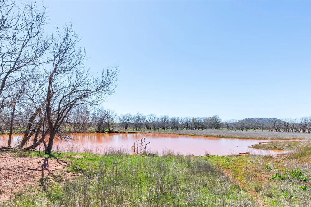 CR 614 Ovalo, TX 79541