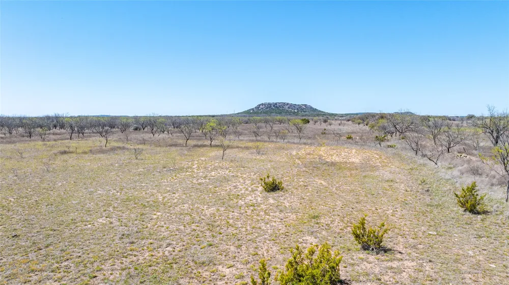 CR 614 Ovalo, TX 79541