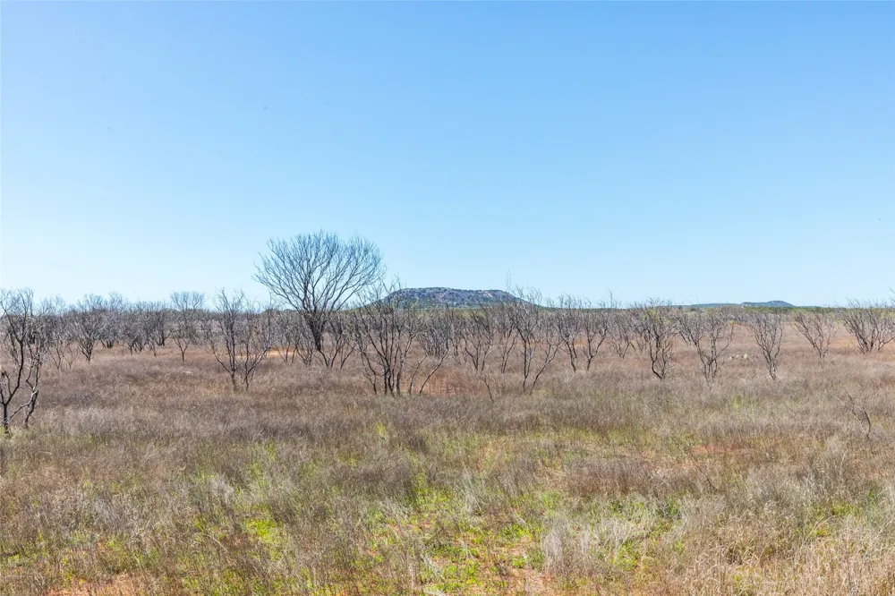 Fm 614 Ovalo, TX 79541