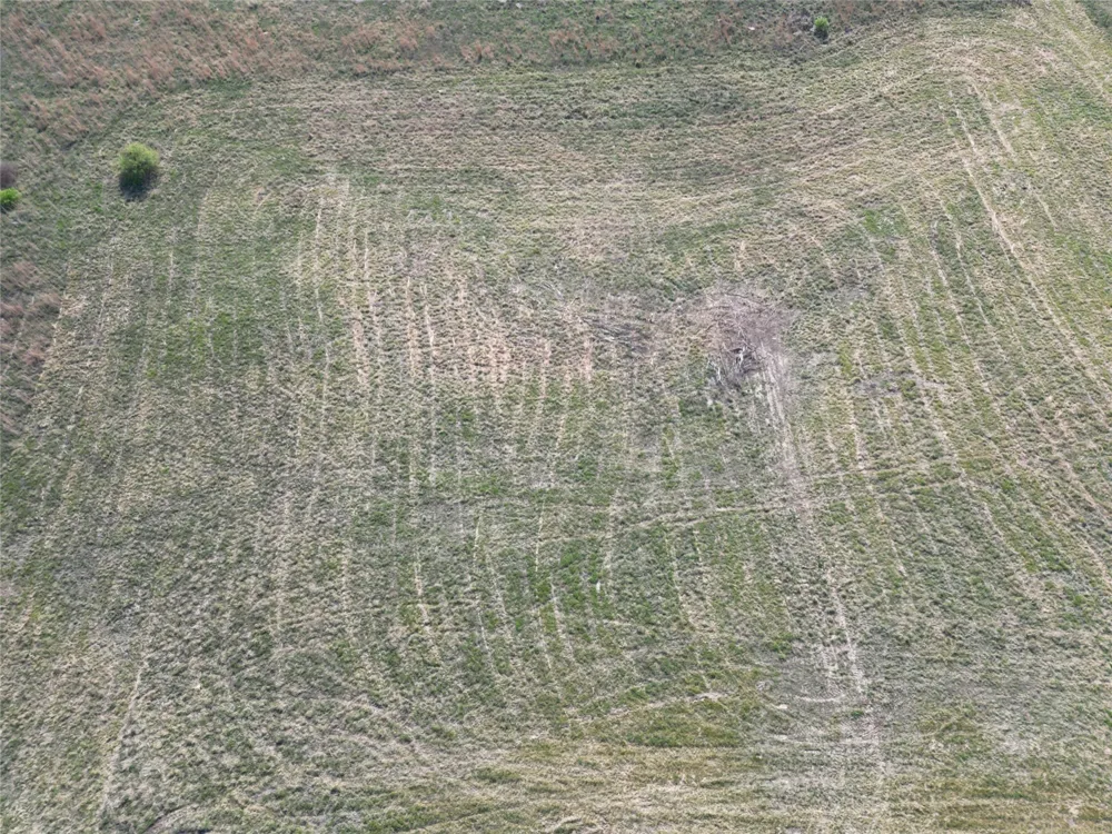 CR 438 Dublin, TX 76446
