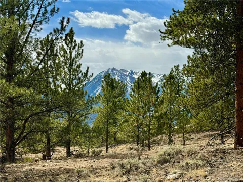 142 La Plata Peak Drive