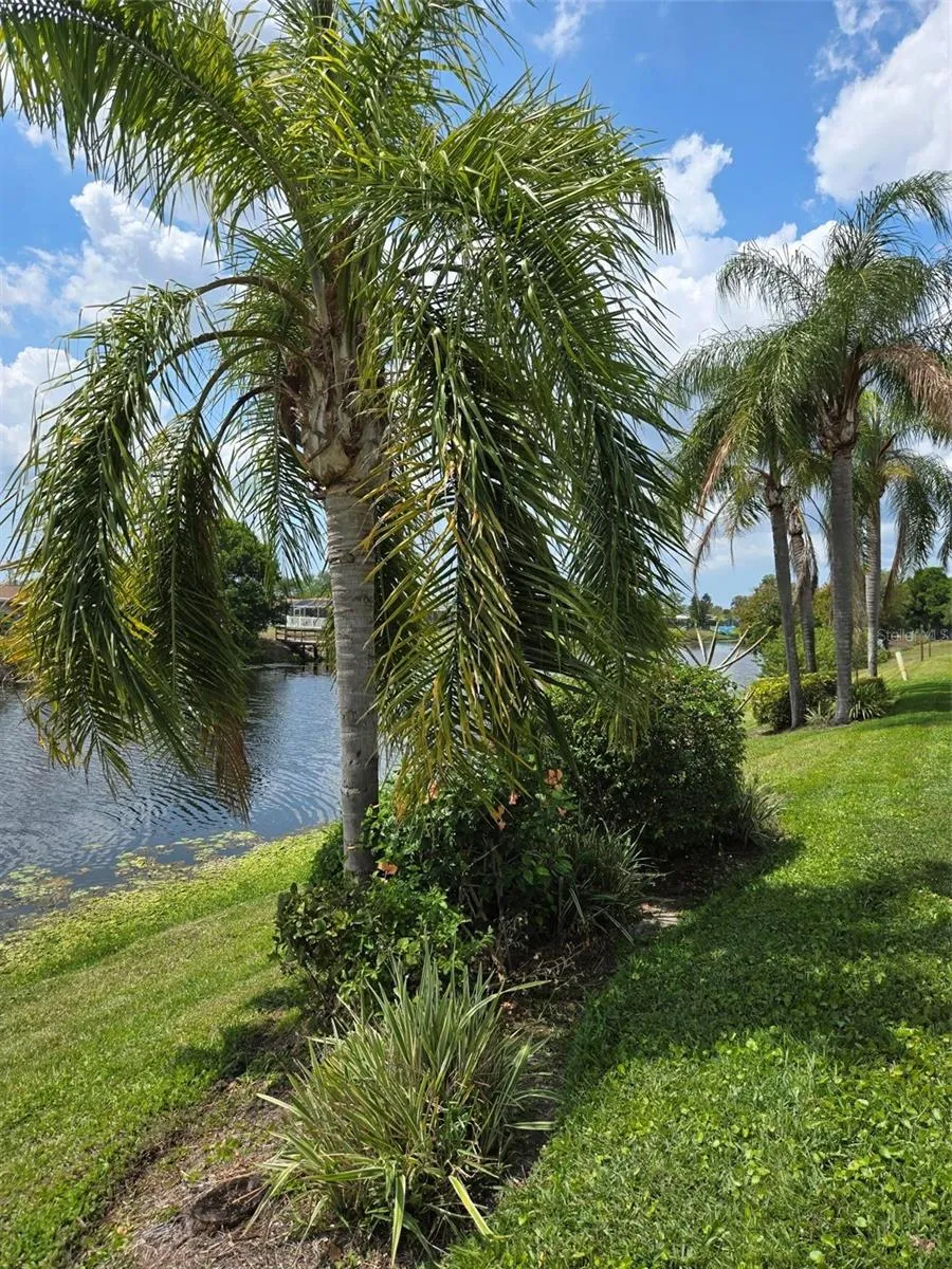 5725 GREENWOOD AVENUE #5201 North Port, FL 34287