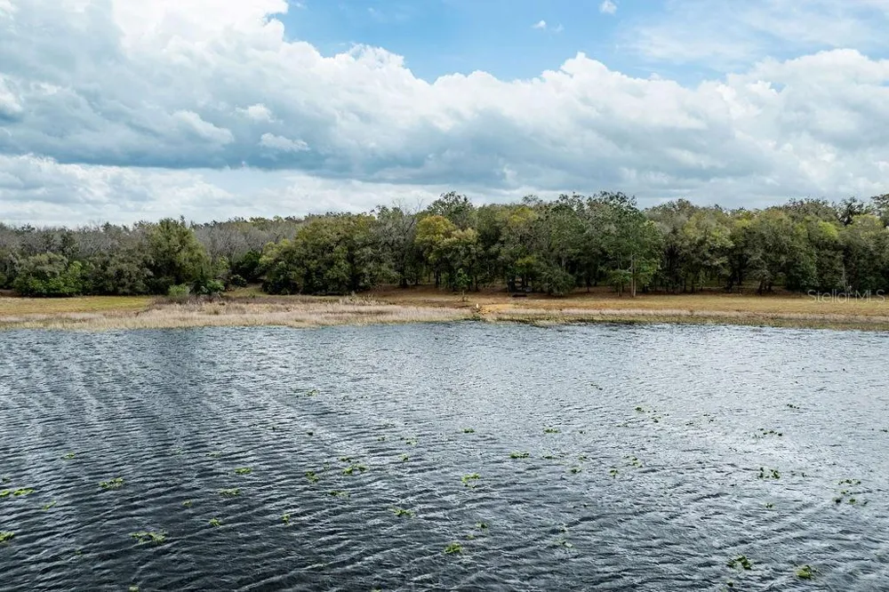 0 FOREST  02, #2, SE 150TH STREET Umatilla, FL 32784