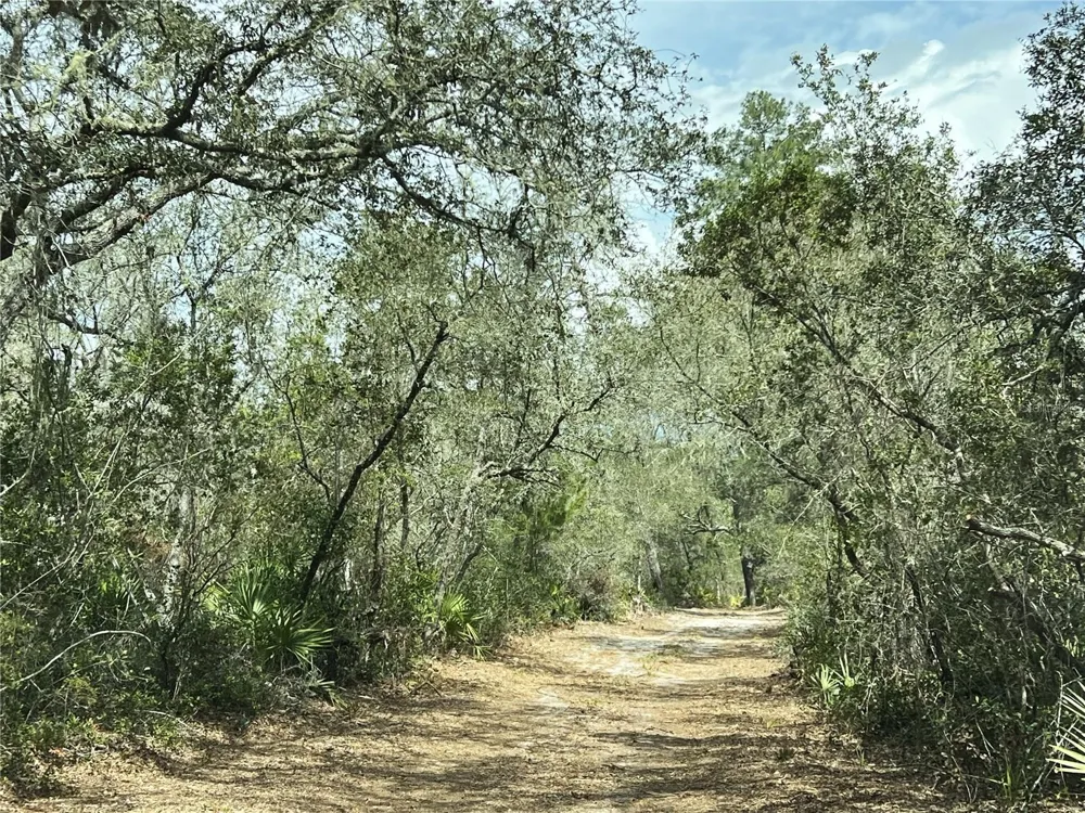 0 FOREST  02, #2, SE 150TH STREET Umatilla, FL 32784