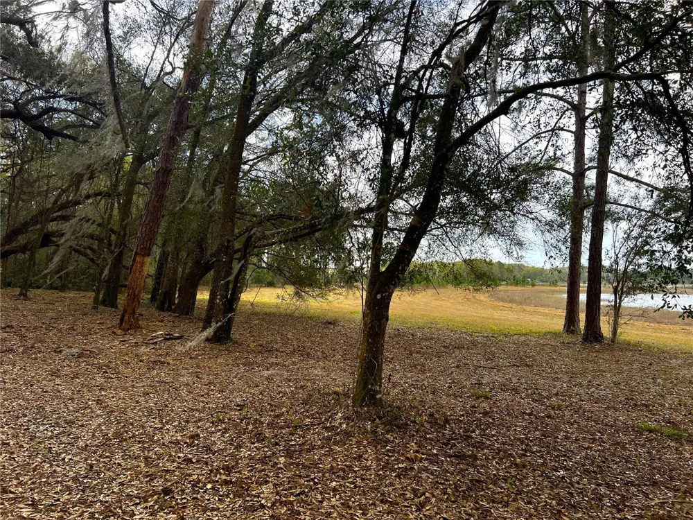 0 FOREST  02, #2, SE 150TH STREET Umatilla, FL 32784
