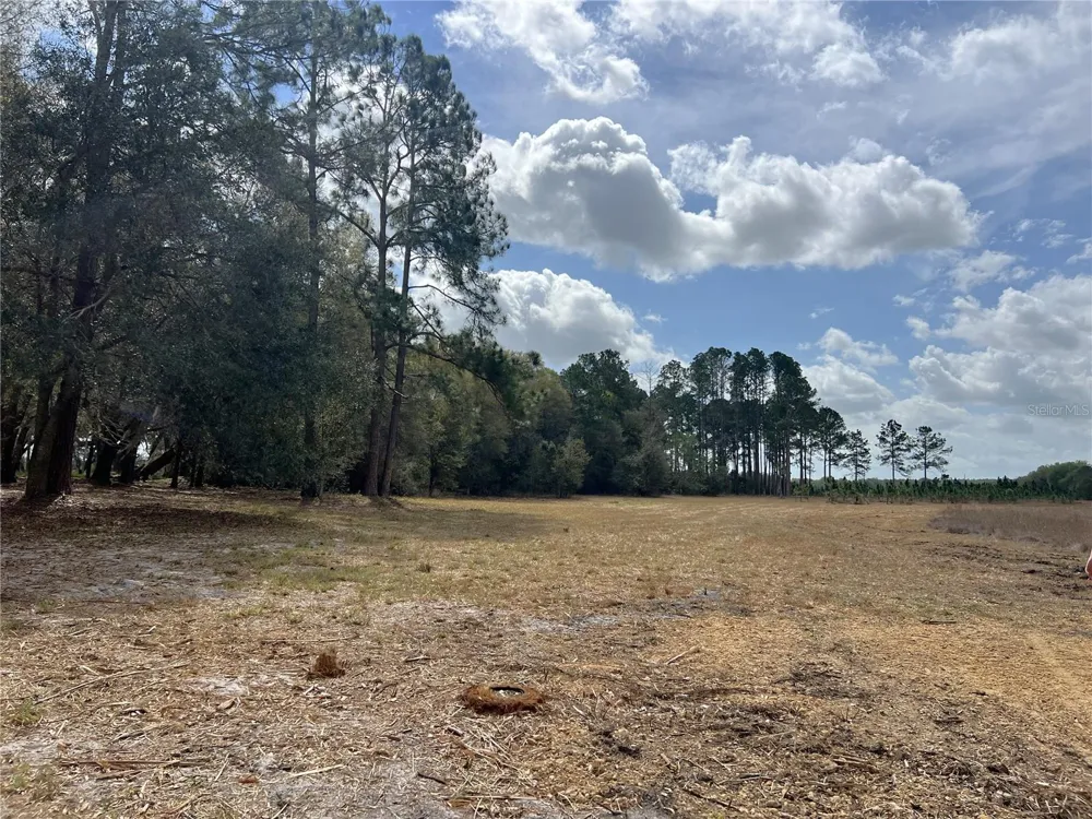 0 FOREST  02, #2, SE 150TH STREET Umatilla, FL 32784