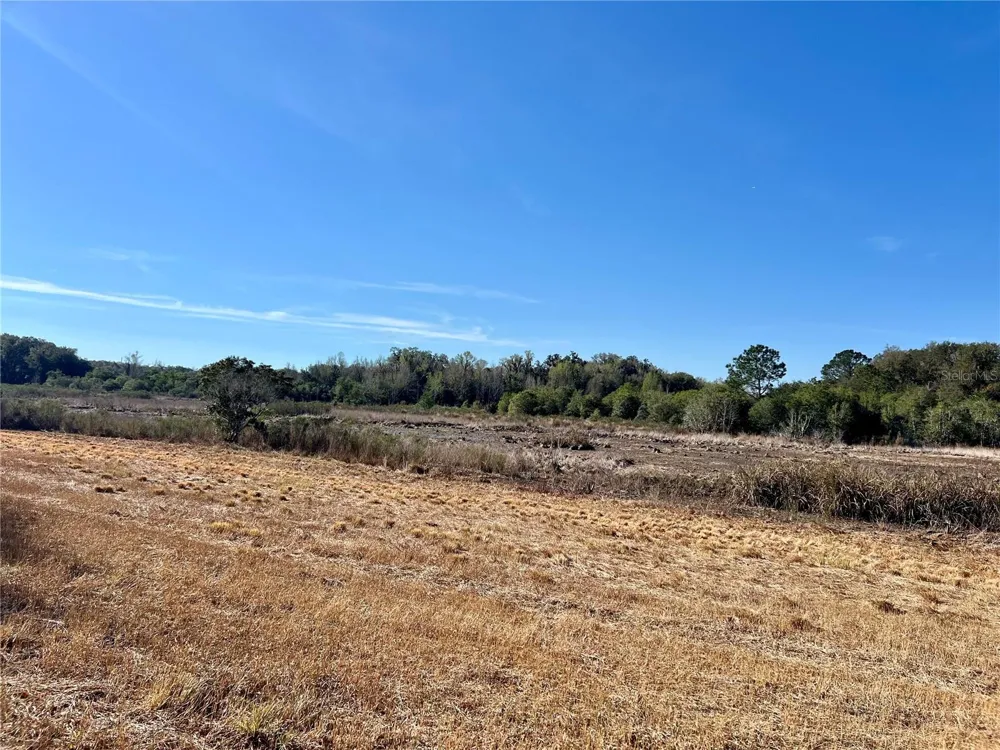 0 FOREST  02, #2, SE 150TH STREET Umatilla, FL 32784