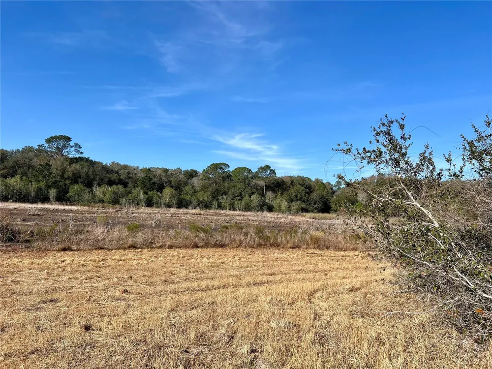 0 FOREST  02, #2, SE 150TH STREET Umatilla, FL 32784