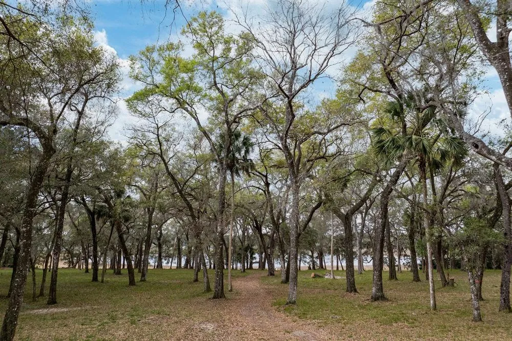0 FOREST  02, #2, SE 150TH STREET Umatilla, FL 32784