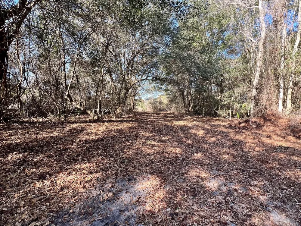 0 FOREST  02, #2, SE 150TH STREET Umatilla, FL 32784