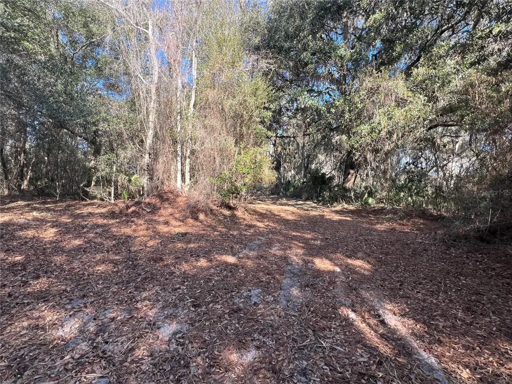 0 FOREST  02, #2, SE 150TH STREET Umatilla, FL 32784