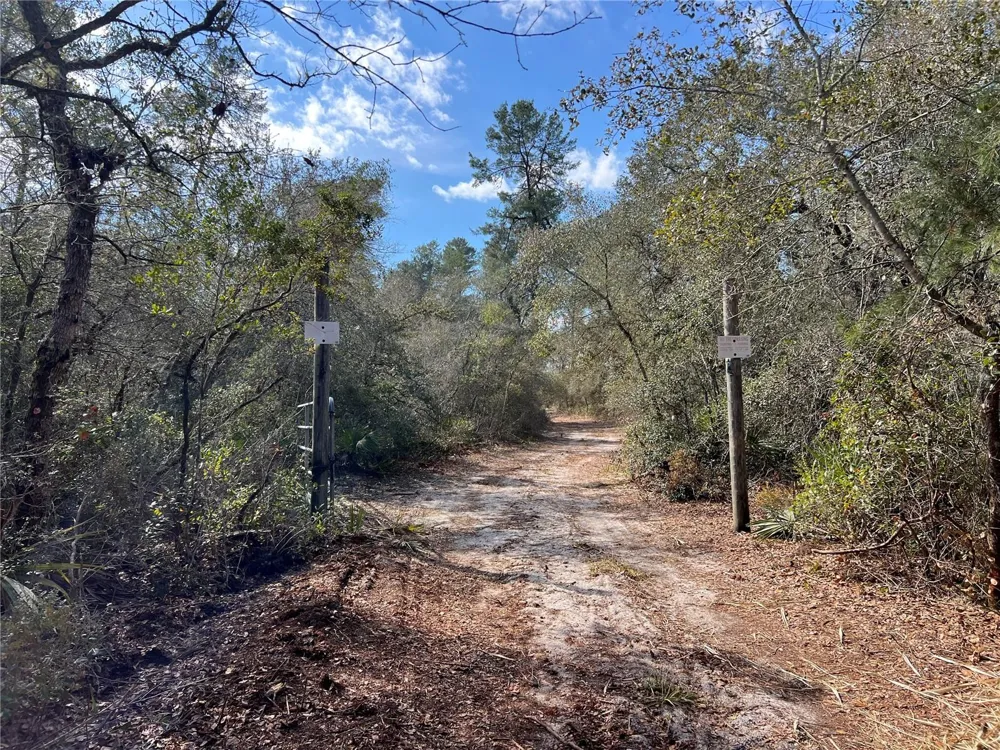 0 FOREST  02, #2, SE 150TH STREET Umatilla, FL 32784