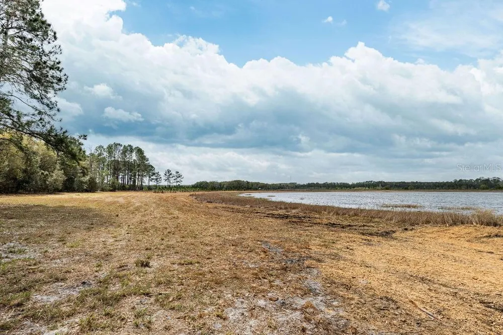 0 FOREST  02, #2, SE 150TH STREET Umatilla, FL 32784