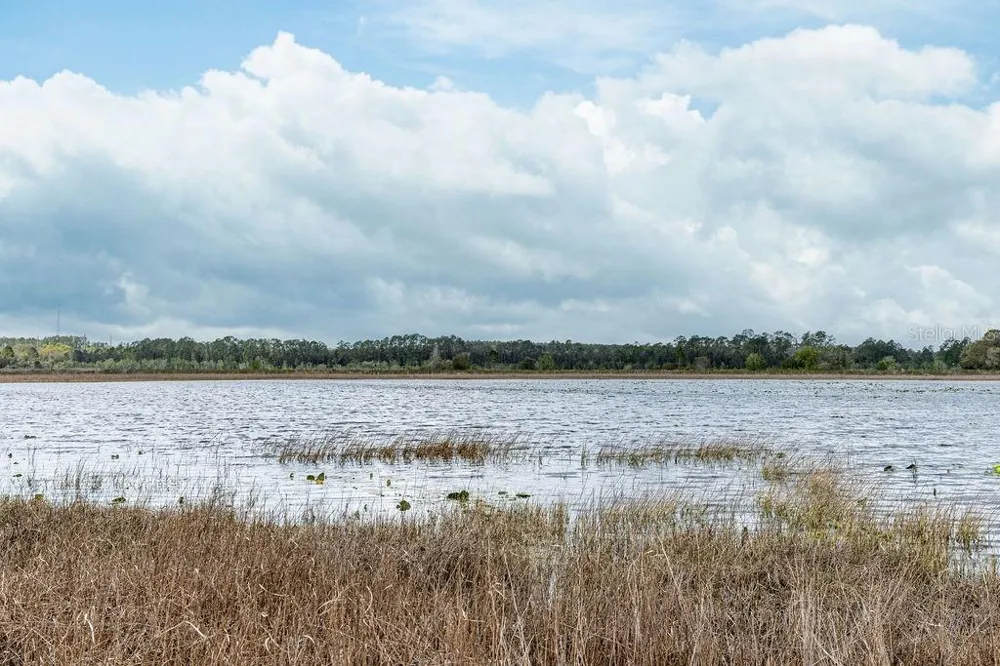 0 FOREST  02, #2, SE 150TH STREET Umatilla, FL 32784