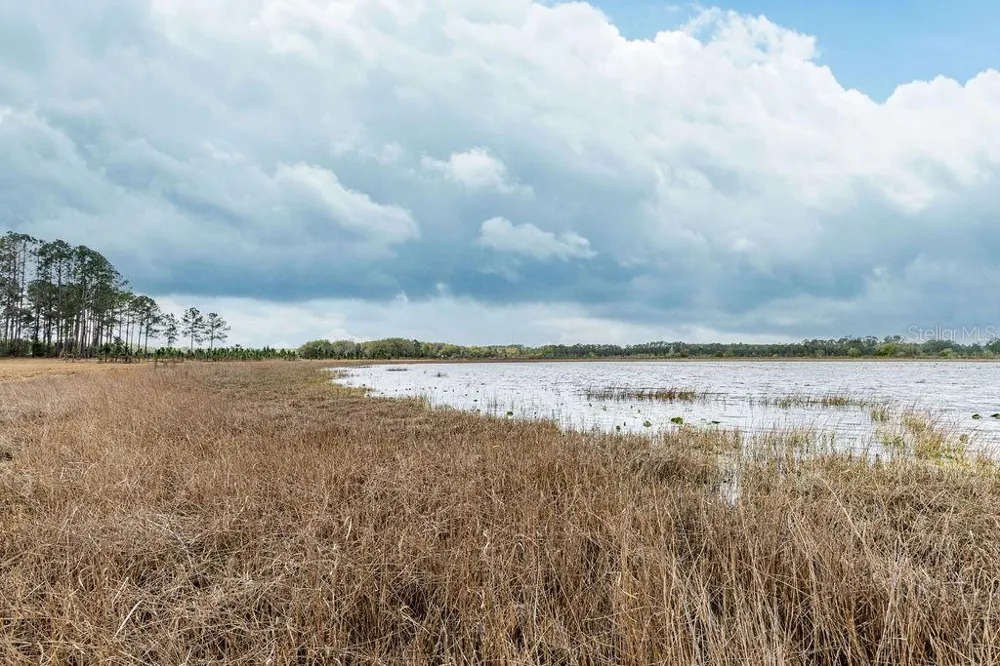 0 FOREST  02, #2, SE 150TH STREET Umatilla, FL 32784