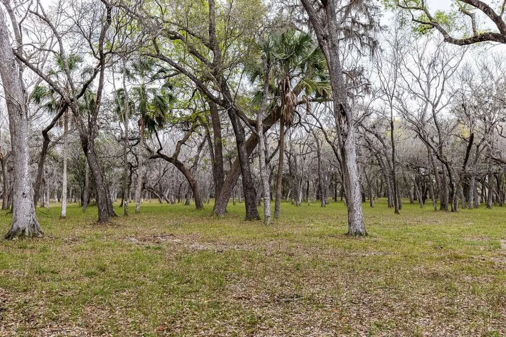 0 FOREST  02, #2, SE 150TH STREET Umatilla, FL 32784