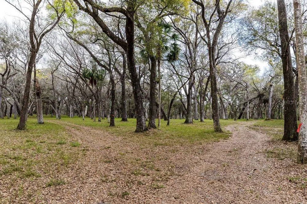 0 FOREST  02, #2, SE 150TH STREET Umatilla, FL 32784