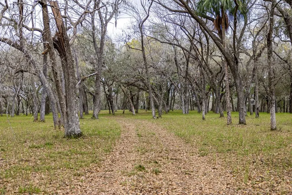 0 FOREST  02, #2, SE 150TH STREET Umatilla, FL 32784