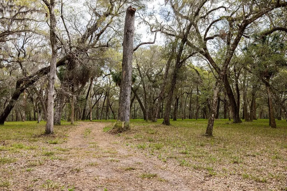 0 FOREST  02, #2, SE 150TH STREET Umatilla, FL 32784
