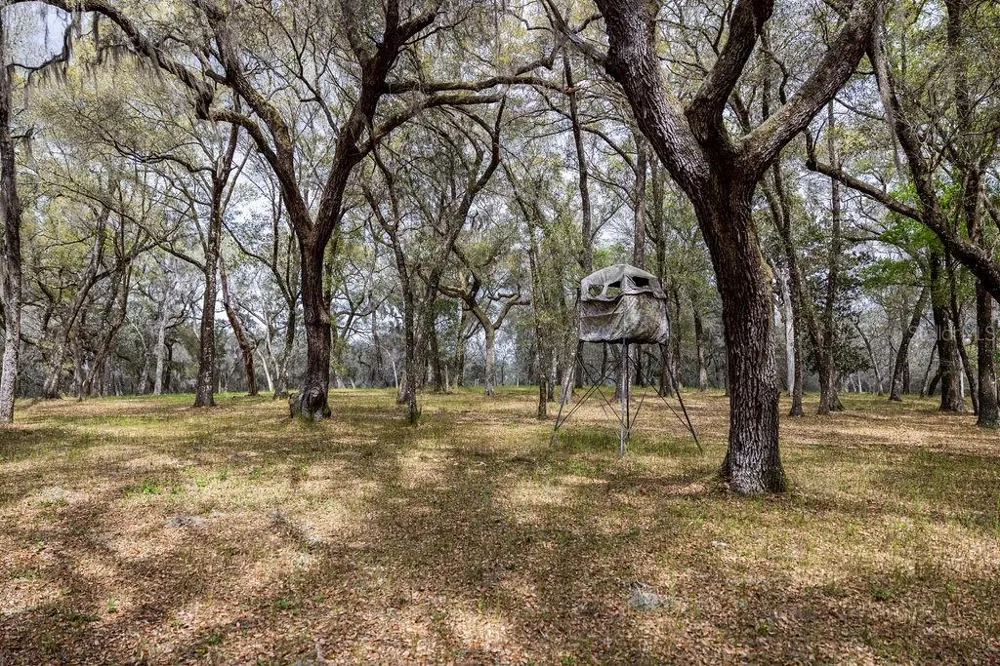 0 FOREST  02, #2, SE 150TH STREET Umatilla, FL 32784