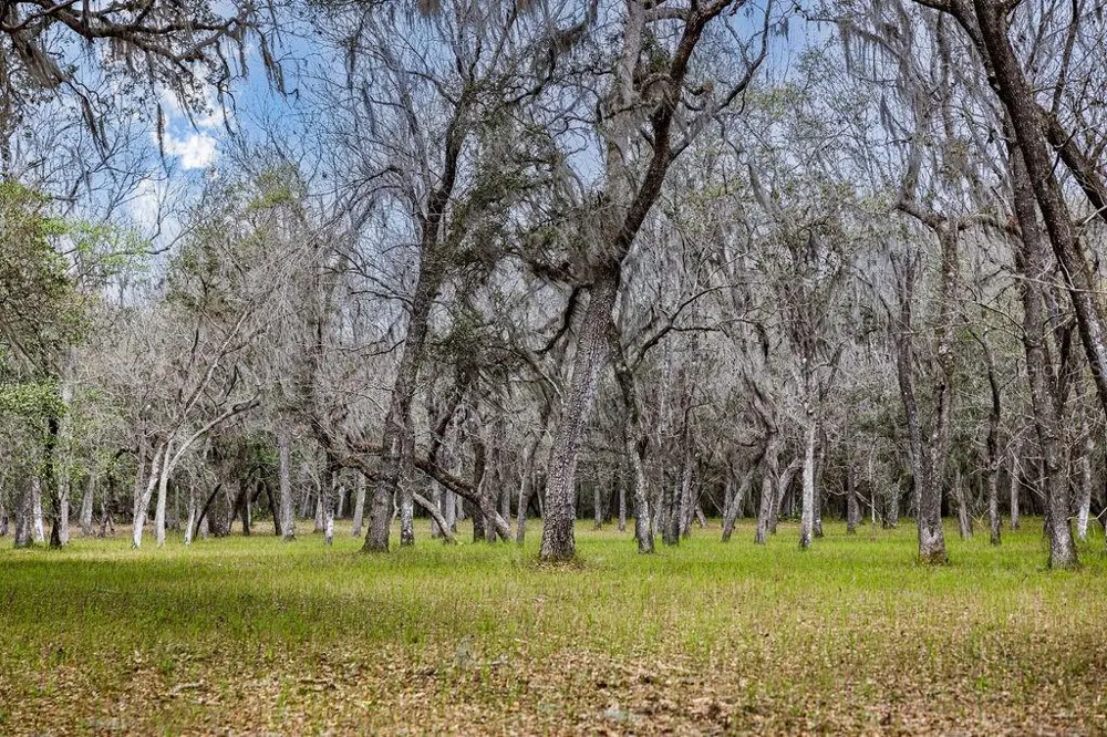 0 FOREST  02, #2, SE 150TH STREET Umatilla, FL 32784