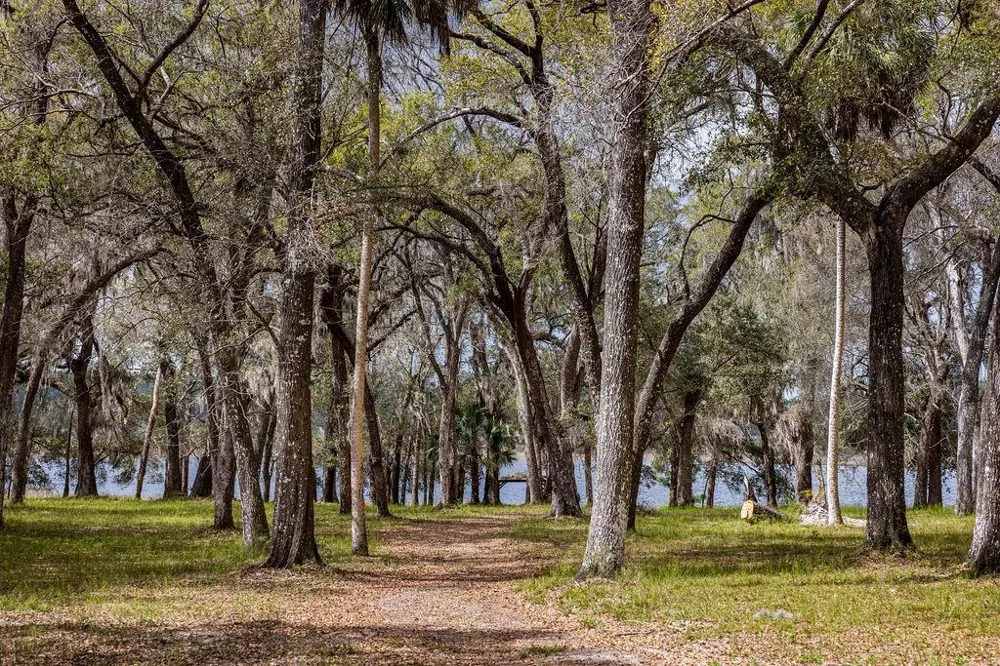 0 FOREST  02, #2, SE 150TH STREET Umatilla, FL 32784