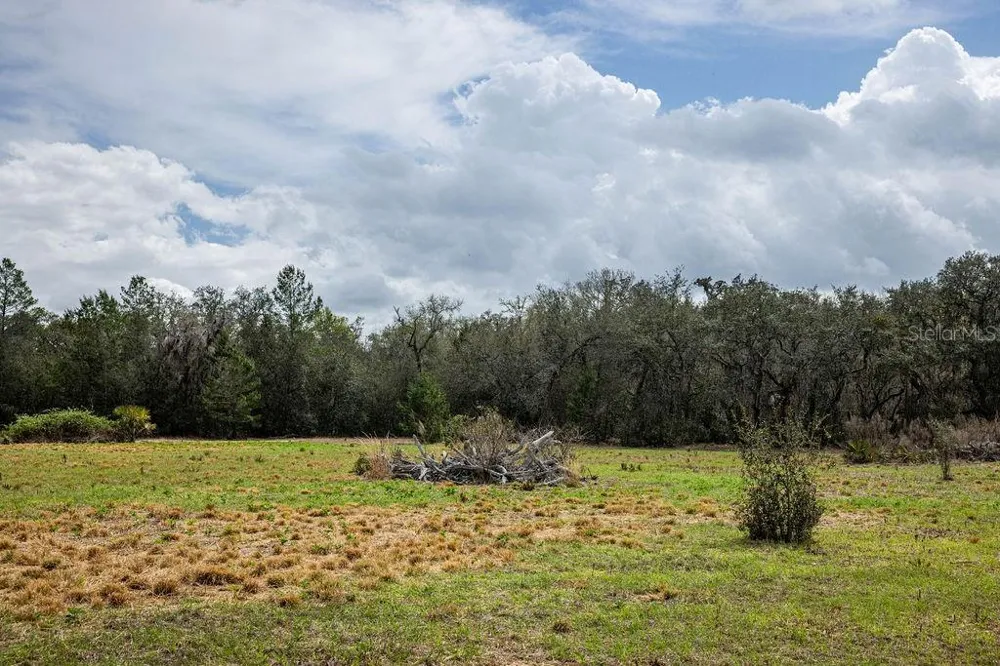 0 FOREST  02, #2, SE 150TH STREET Umatilla, FL 32784
