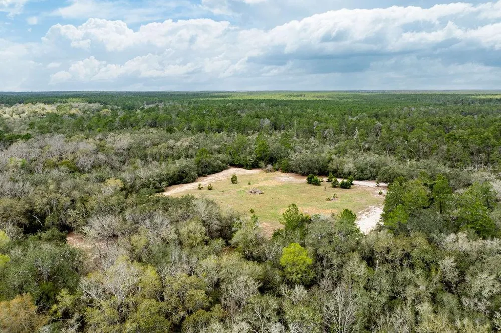 0 FOREST  02, #2, SE 150TH STREET Umatilla, FL 32784