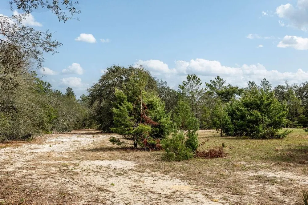 0 FOREST  02, #2, SE 150TH STREET Umatilla, FL 32784