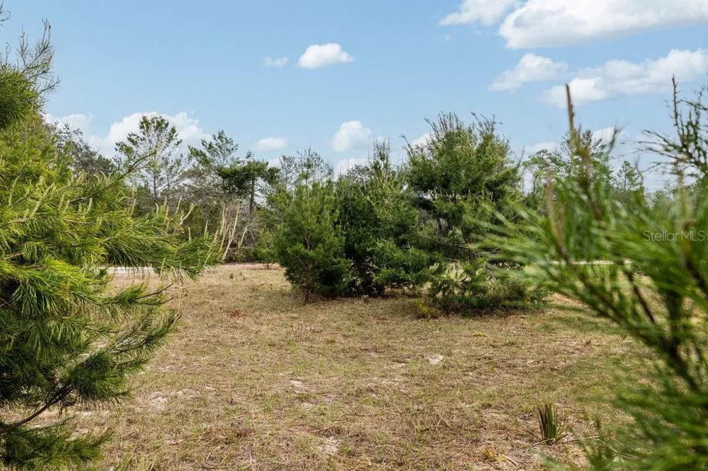 0 FOREST  02, #2, SE 150TH STREET Umatilla, FL 32784