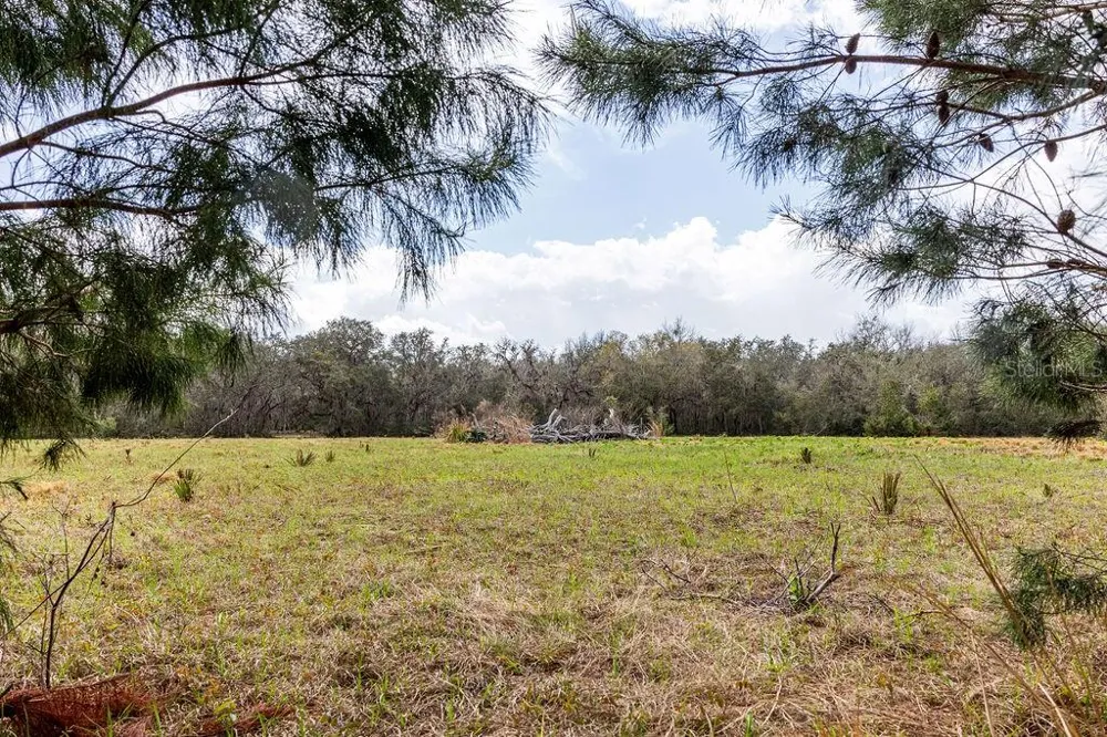 0 FOREST  02, #2, SE 150TH STREET Umatilla, FL 32784