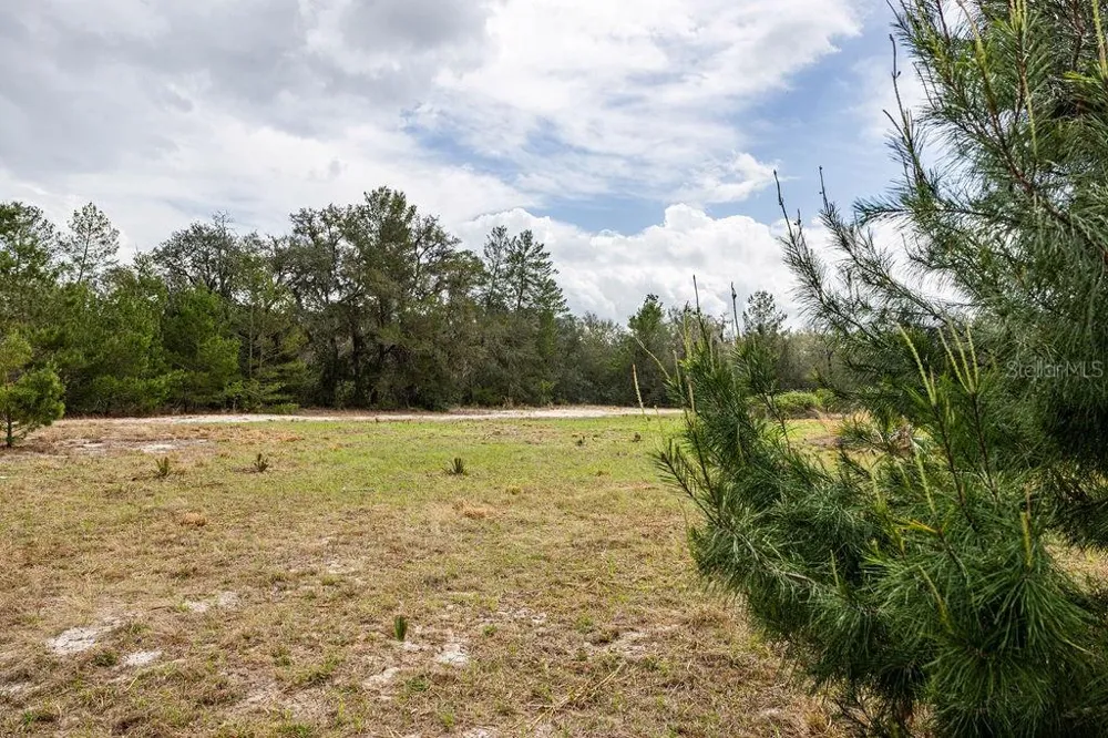 0 FOREST  02, #2, SE 150TH STREET Umatilla, FL 32784