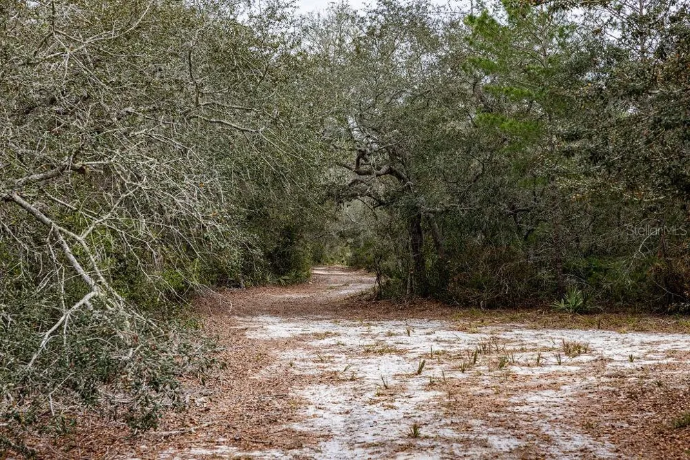 0 FOREST  02, #2, SE 150TH STREET Umatilla, FL 32784