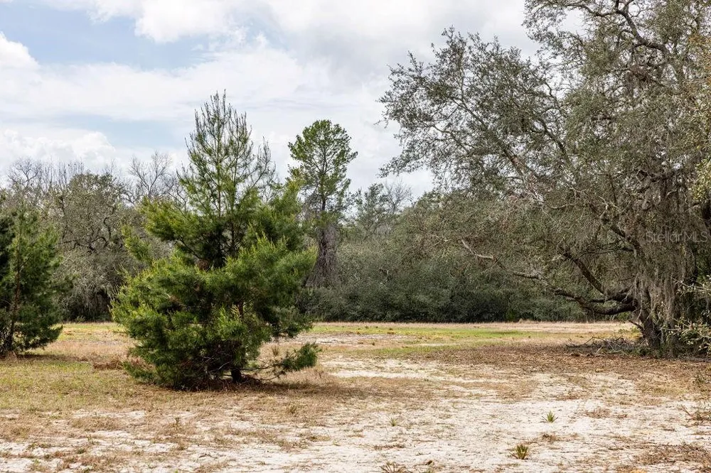 0 FOREST  02, #2, SE 150TH STREET Umatilla, FL 32784