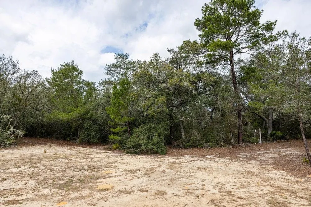 0 FOREST  02, #2, SE 150TH STREET Umatilla, FL 32784