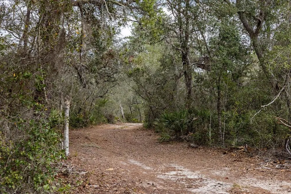 0 FOREST  02, #2, SE 150TH STREET Umatilla, FL 32784