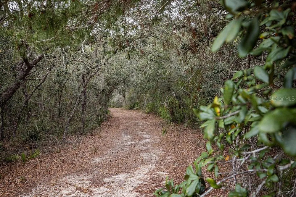 0 FOREST  02, #2, SE 150TH STREET Umatilla, FL 32784
