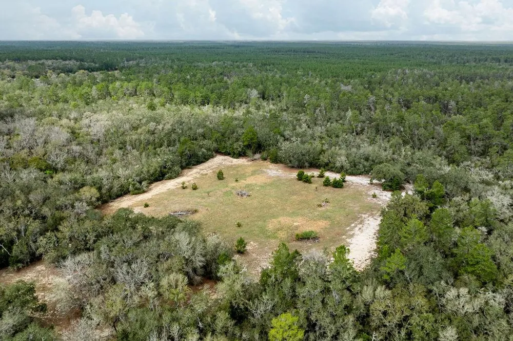 0 FOREST  02, #2, SE 150TH STREET Umatilla, FL 32784