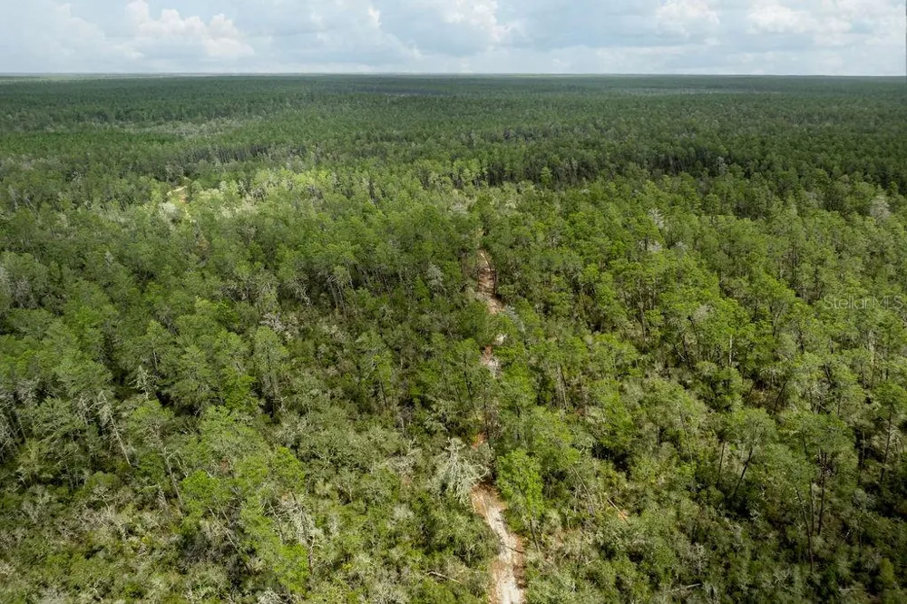 0 FOREST  02, #2, SE 150TH STREET Umatilla, FL 32784