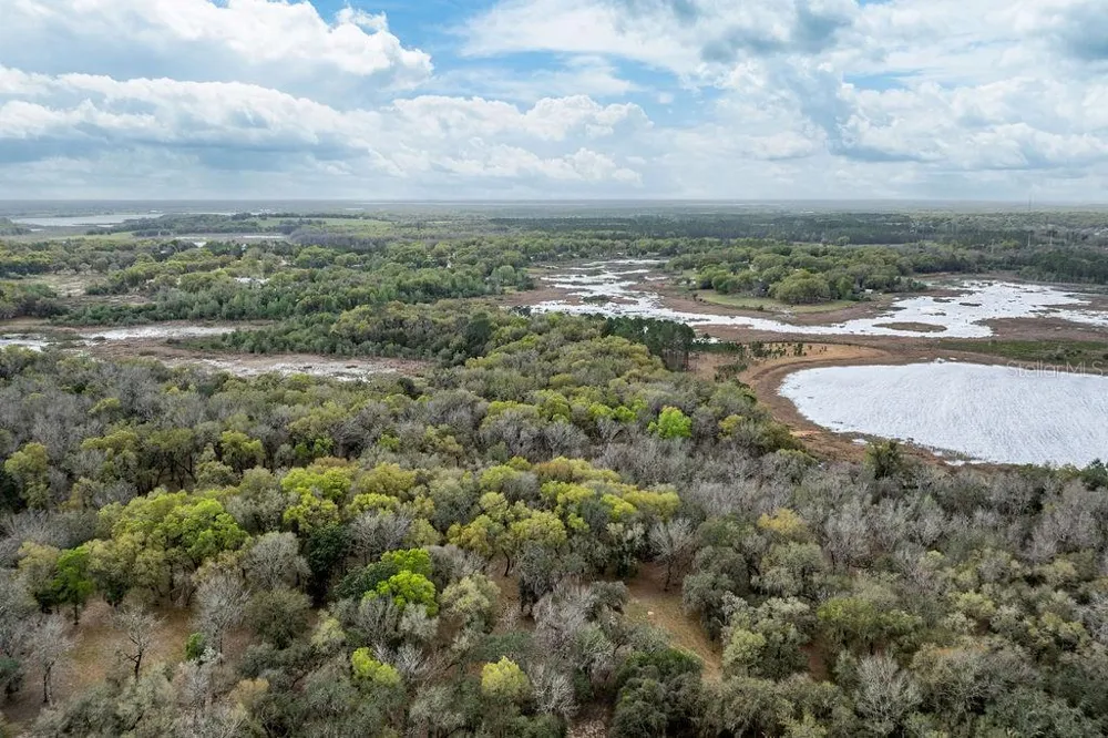 0 FOREST  02, #2, SE 150TH STREET Umatilla, FL 32784