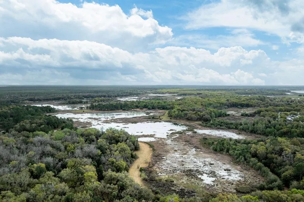 0 FOREST  02, #2, SE 150TH STREET Umatilla, FL 32784