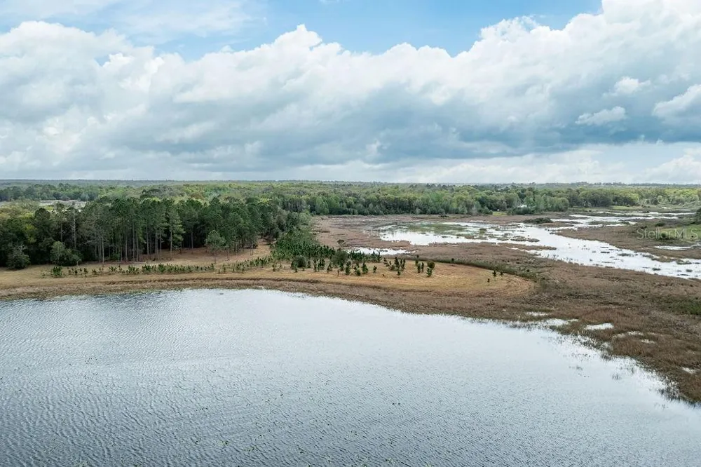 0 FOREST  02, #2, SE 150TH STREET Umatilla, FL 32784