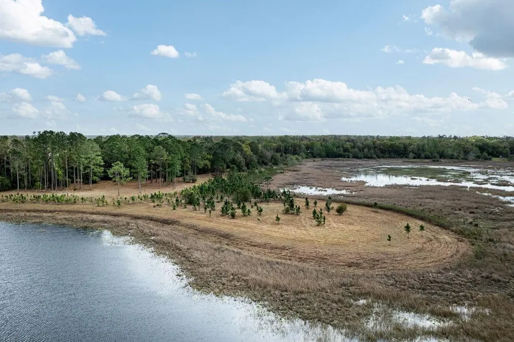 0 FOREST  02, #2, SE 150TH STREET Umatilla, FL 32784