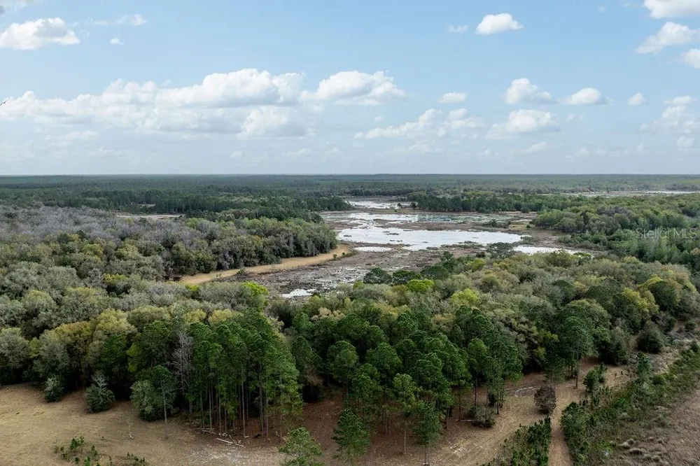 0 FOREST  02, #2, SE 150TH STREET Umatilla, FL 32784