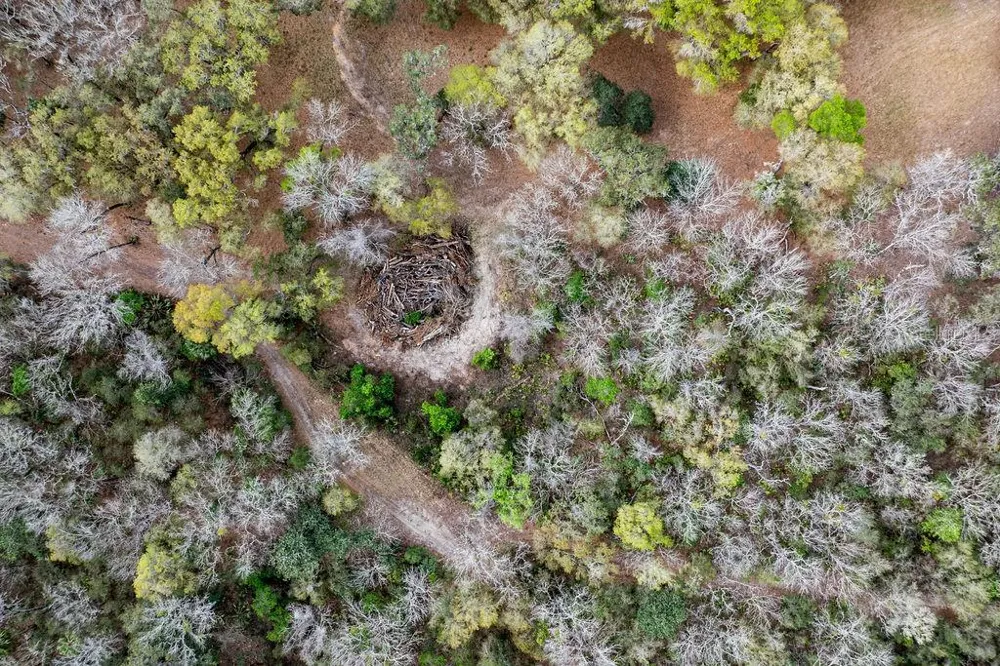 0 FOREST  02, #2, SE 150TH STREET Umatilla, FL 32784