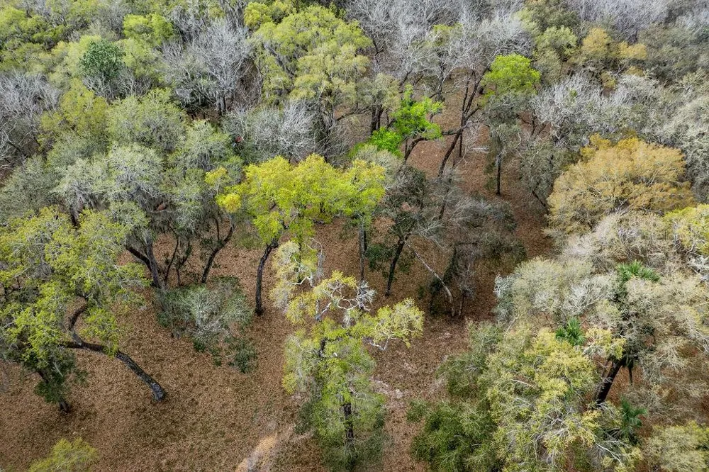 0 FOREST  02, #2, SE 150TH STREET Umatilla, FL 32784